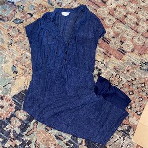 Blue Maternity/Nursing Dress